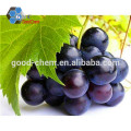 Hot Sale China Instant Grape Seed Bulk Extract Powder